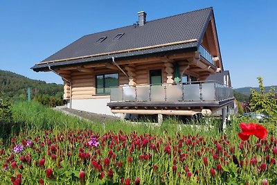 Lodge sul lago di Steinbach