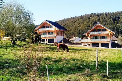Steinbach See Lodges