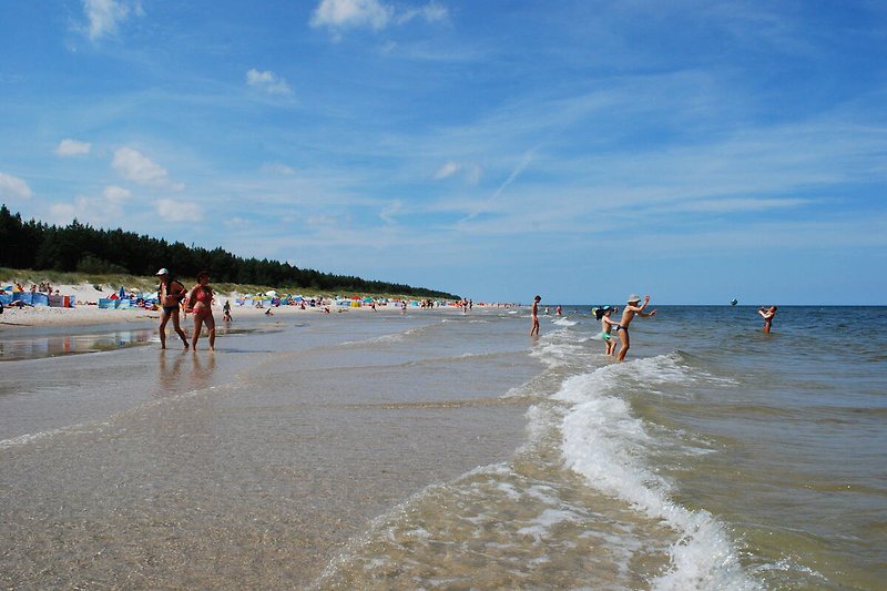Strand in der Nähe von Dzwirzyno