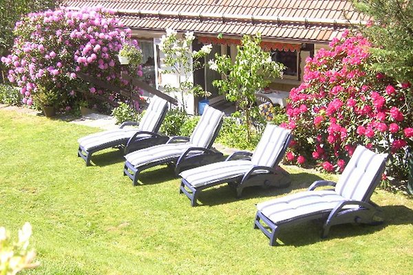 HAUS BIRKENSTÜBCHEN FW. ROSE in Lautenthal - Firma Haus Birkenstübchen