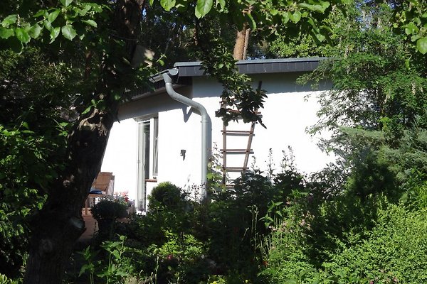 Ferienhaus Zinnowitz
