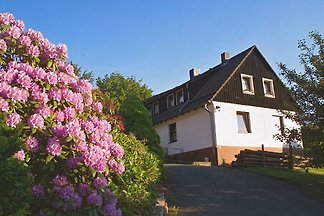 Fewo Wolf m.Kaminofen im Harz