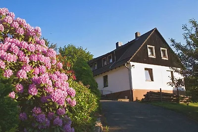 Fewo Wolf m.Kaminofen im Harz