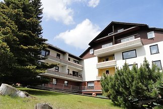 Komfort Ferienwohnung