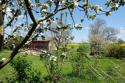 Casa di campagna Fredenwalde