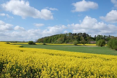 Casa di campagna Fredenwalde