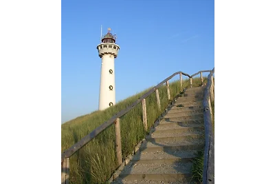Molenaar