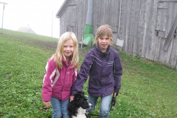 Family M. Koch und Fam. Gmür Family M. Koch und Fam. Gmür
