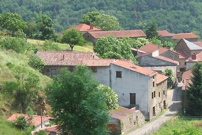 Gite in Auvergne