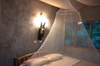 Ban Bangtong Jungle Camp