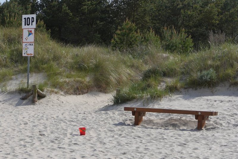Bank am Strandzugang  -  Besonders im Frühjahr und Herbst ein ruhiger Ausblick zum Meer und zur Greifswalder Oie