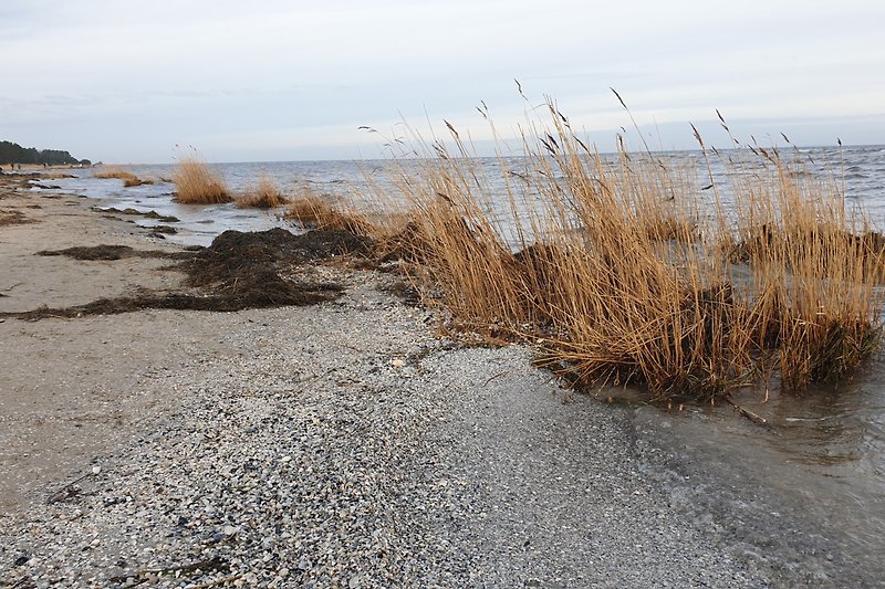 Ende Dezember - Die Ostsee 2km vom Ferienhaus Richtung Inselspitze