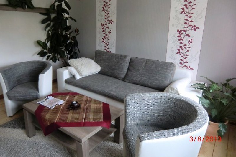 Salon z rozkładaną sofą