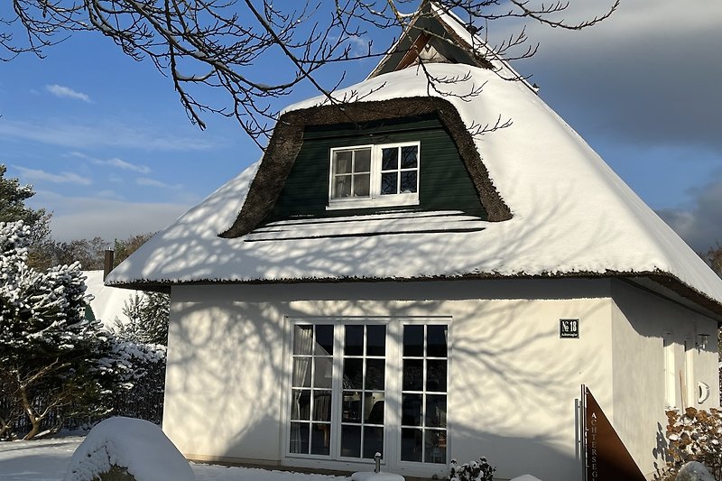 Winterliches Usedom in einem gemütlichen Reetdachhaus genießen