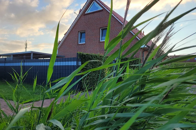 Ferienhaus Deichkrabbe direkt am DEICH