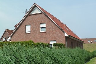 FH Deichkrabbe in TRAUMLAGE am MEER