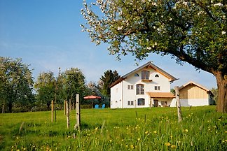 Im Obstgarten