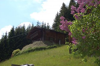 Ferienhaus Klein-Edner