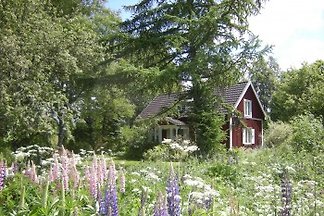 Björkelund*Ferienhaus Schweden
