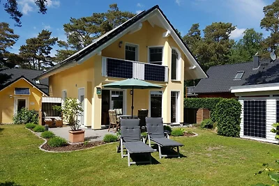 Ferienhaus Möwennest
