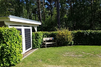 Ferienhaus Möwennest