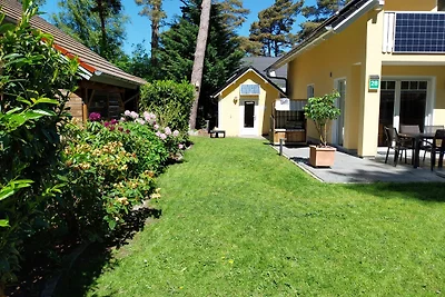 Ferienhaus Möwennest