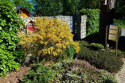 Ferienhaus Möwennest