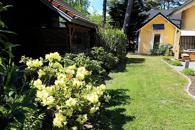 Ferienhaus Möwennest