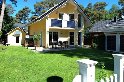 Ferienhaus Möwennest