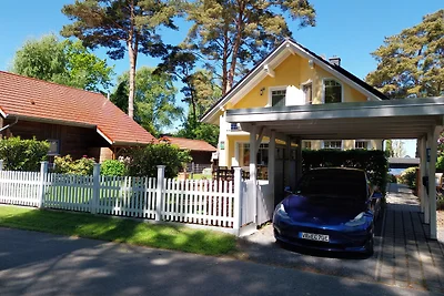 Ferienhaus Möwennest