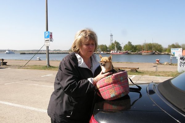 Frau H. Fitzka Frau H. Fitzka