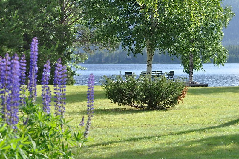 A peaceful landscape with a lake, trees, and blooming flowers.