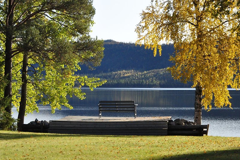 A serene outdoor scene with a yellow bench, surrounded by nature, overlooking a peaceful lake.