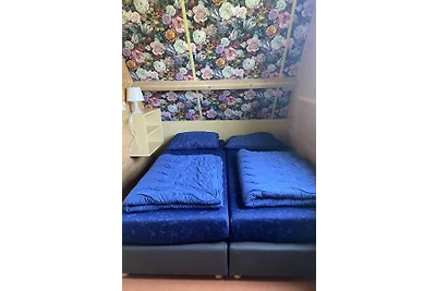 Eureka Vakantiehuisjes