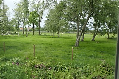 Eureka Vakantiehuisjes