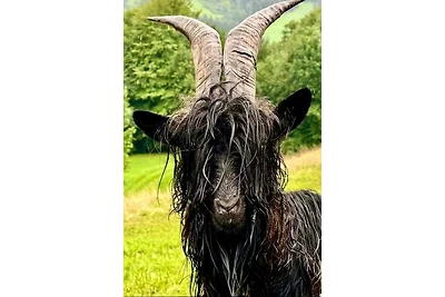 Ferienhaus Schindeler