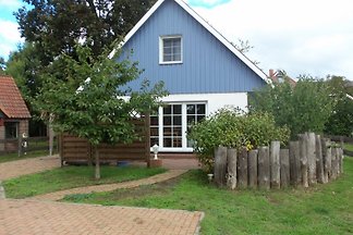 Ferienhaus Born in Wieck F**** DTV