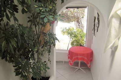 Ferienwohnung LosDelfines