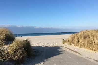 Wassergrundstück - Urlaub mit Hund