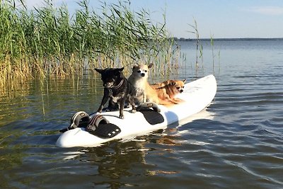 Darßurlaub - Hund-Angeln am Wasser