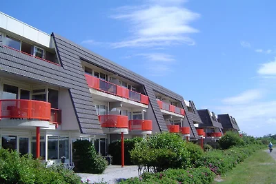 Amelander Paradijs