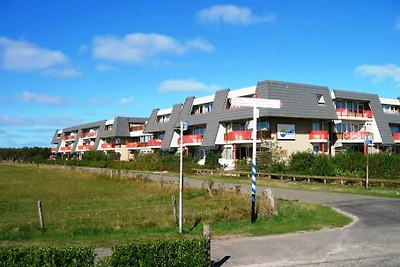 Amelander Paradijs