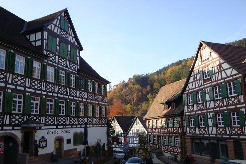 povijesni stari grad - Schiltach