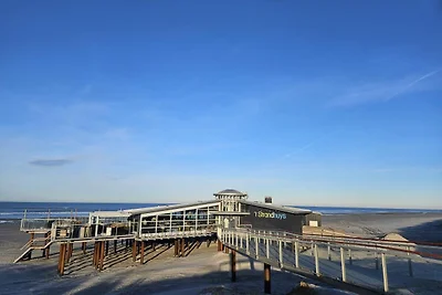 Strandläufer 37