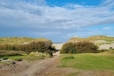 Westwing 79 Ameland