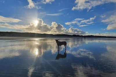 Waddendiamant 24 Buren