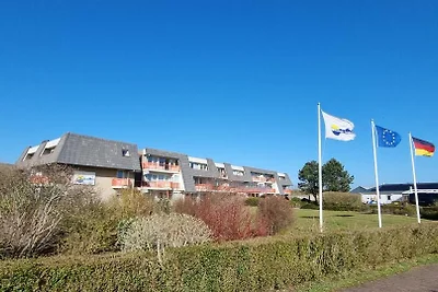 Strandläufer 37