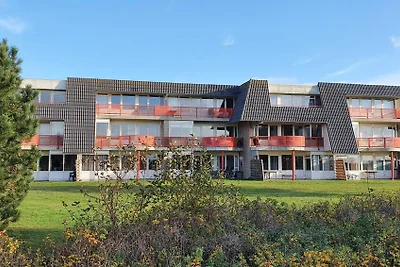 Strandläufer 37