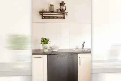 Ferienhaus Anno 1895