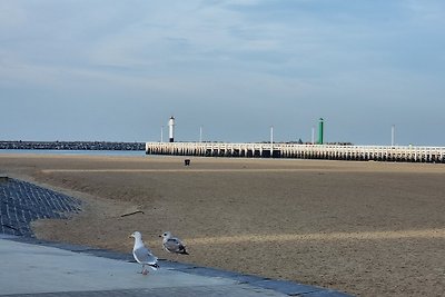 Dolce Vita Oostende